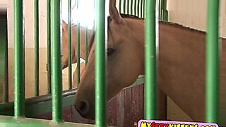 horse aminal and girl xvideo